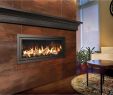 Gas Fireplace Technician Inspirational Propane Gas Fireplace Repair Interior Diy Gas Fireplace