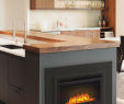 Gas Fireplace Units Inspirational Napoleon Cinemaâ¢ 24" Built In Electric Firebox Nefb24h 3a