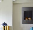 Gas Fireplace Wall Insert Fresh Slim Ventless Gas Fireplace Fireplace Design Ideas