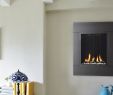 Gas Fireplace Wall Insert Fresh Slim Ventless Gas Fireplace Fireplace Design Ideas