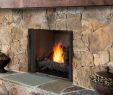 Gas Fireplace with Electric Switch New Odcoug 36t