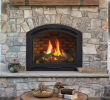 Gas Insert Vs Gas Fireplace Lovely Unique Fireplace Idea Gallery