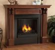 Gel Flame Fireplace Best Of Real Flame Gel Fireplace Charming Fireplace