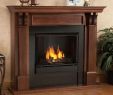Gel Flame Fireplace Best Of Real Flame Gel Fireplace Charming Fireplace