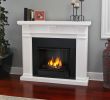 Gel Fuel Fireplace Insert Beautiful Real Flame Gel Fuel Fireplace Charming Fireplace