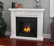 Gel Fuel Fireplace Insert Beautiful Real Flame Gel Fuel Fireplace Charming Fireplace