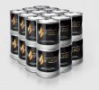 Gel Fuel Fireplace Insert Unique Sunjel Fume Free Firespace Gel Fuel Canister Pure Gel 24 Pack