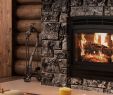 Glass Gas Fireplace Insert Beautiful Ambiance Fireplaces and Grills