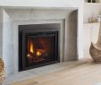 Glass Gas Fireplace Insert Beautiful Escape Gas Firebrick Inserts