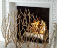 Gold Fireplace Best Of Golden Branch Fireplace Screen