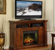 Harlan Grand Electric Fireplace Elegant Fireplaces Portable Electric & Gel Fuel Fireplaces