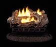 Hearthside Fireplace and Patio New Pro 24 In Ventless Liquid Propane Gas Log Set with