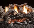 Hearthside Fireplace Fresh Cozy Fire Available In 18" 24" and 30" for Natural Gas or