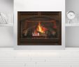 Heat and Glo Fireplace Best Of Heat and Glo Fireplace Cleaning Heatnglo True42 Gas