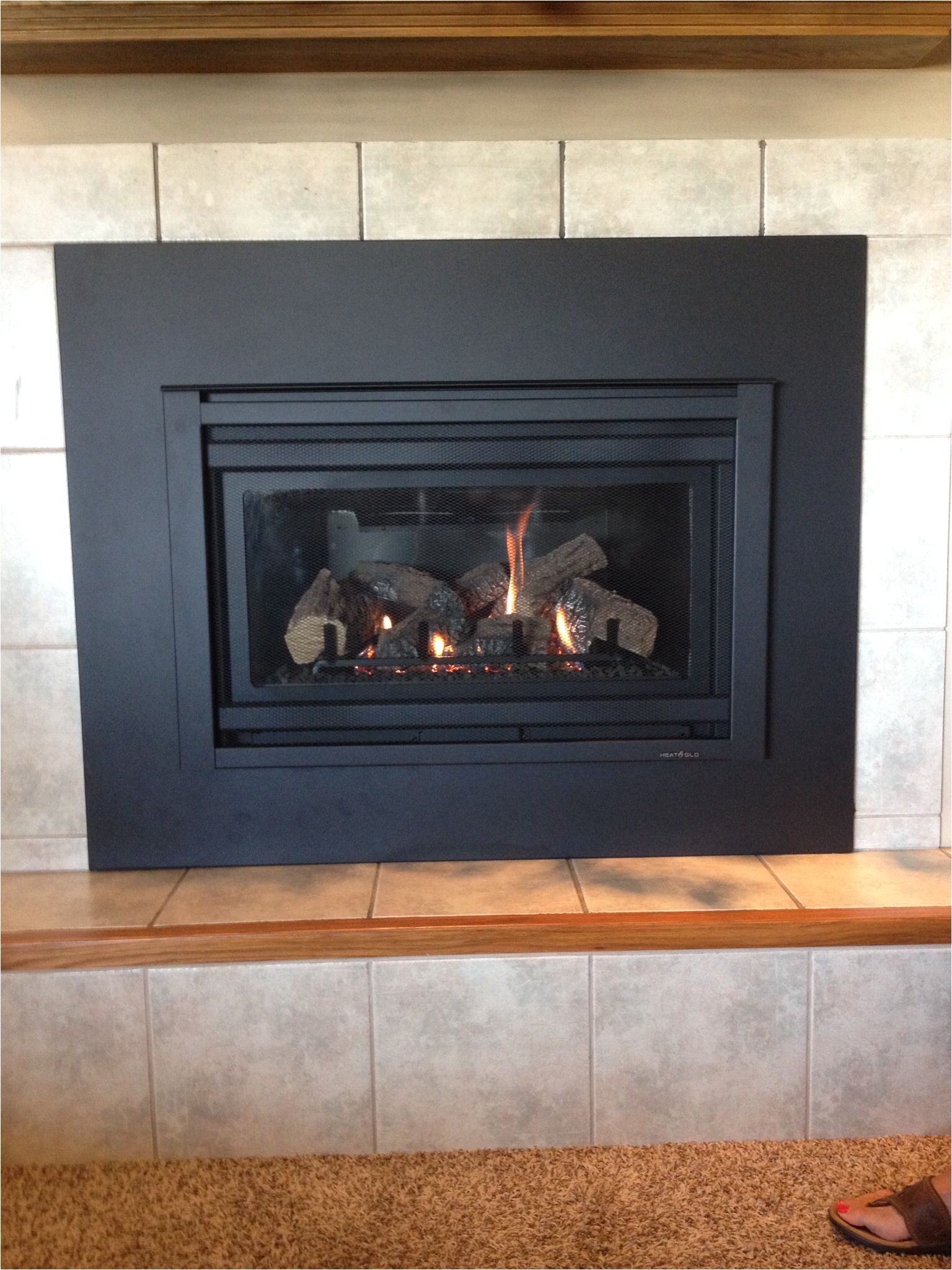 Heat and Glo Fireplace Fresh Propane Fireplace Insert Repair
