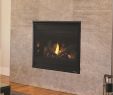 Heat and Glo Fireplace Insert Beautiful Heat N Glo Fireplace Parts