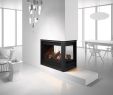 Heat and Glo Fireplace Insert Best Of Heat and Glo Pier 36tr See Through Gas Fireplace
