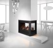 Heat and Glo Fireplace Inserts Fresh Heat and Glo Pier 36tr See Through Gas Fireplace