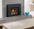 Heat Glo Fireplace Lovely Liberty Collection Fireplace by Regency Available Through