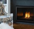 Heat N Glo Fireplace Manual Fresh Gti Gas Fireplace Insert Fireplace Design Ideas