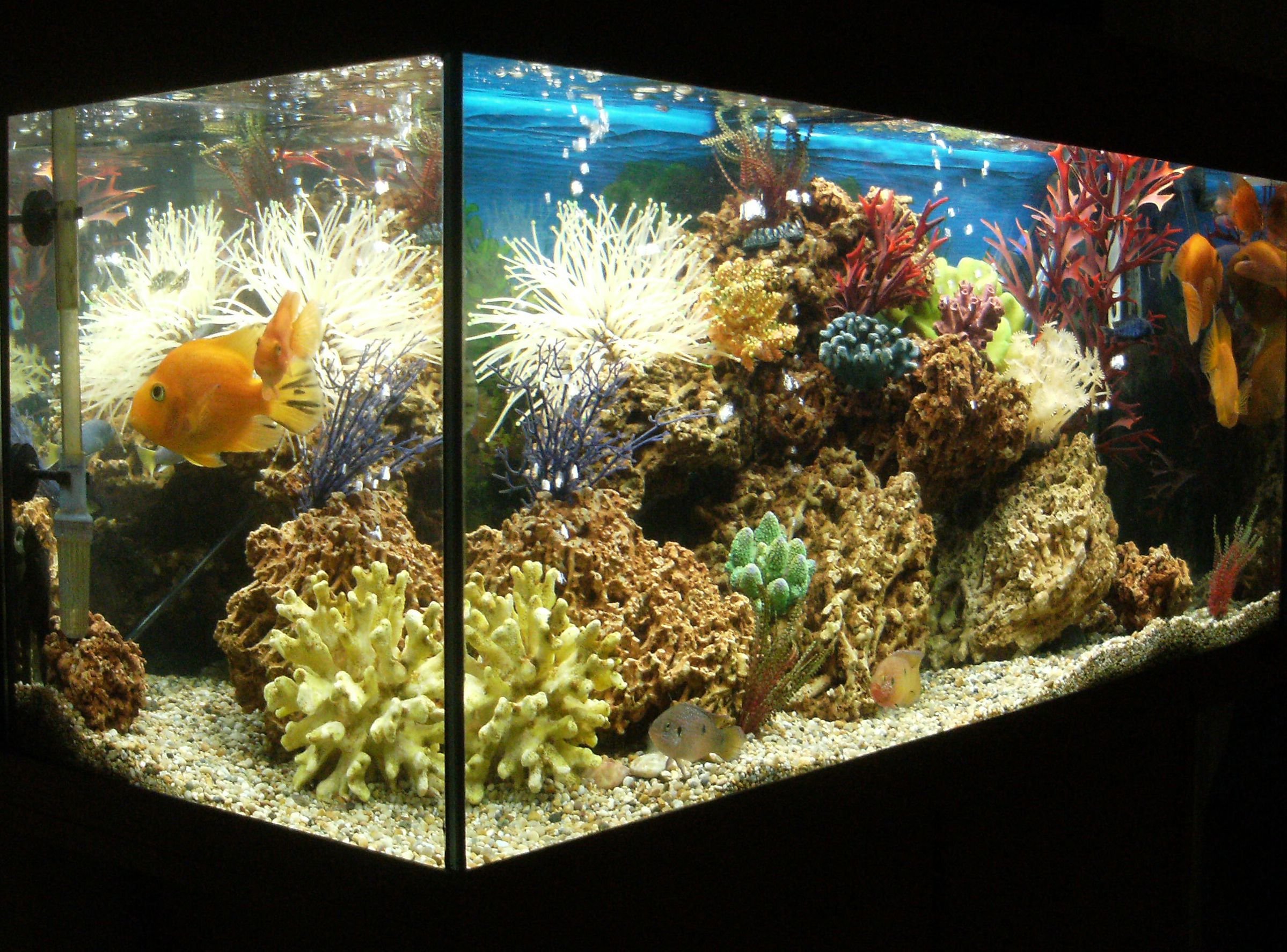 Heat Surge Fireplace Keeps Shutting Off Beautiful How to Prevent Aquarium Heater Disasters