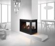 Heatilator Fireplace Doors Best Of Heat and Glo Pier 36tr See Through Gas Fireplace