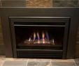 Heatilator Gas Fireplace Best Of Heat N Glo Fireplace Parts