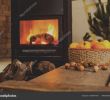 Hmi Fireplace Beautiful Zimmer Kamin Sammlung Bioethanol Haus Dekoration