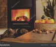 Hmi Fireplace Beautiful Zimmer Kamin Sammlung Bioethanol Haus Dekoration
