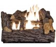 Home Depot Gas Fireplace Luxury Emberglow 18 In Timber Creek Vent Free Dual Fuel Gas Log Set with Manual Control