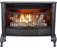 Home Depot Propane Fireplace Awesome 25 000 Btu Vent Free Dual Fuel Gas Stove with thermostat