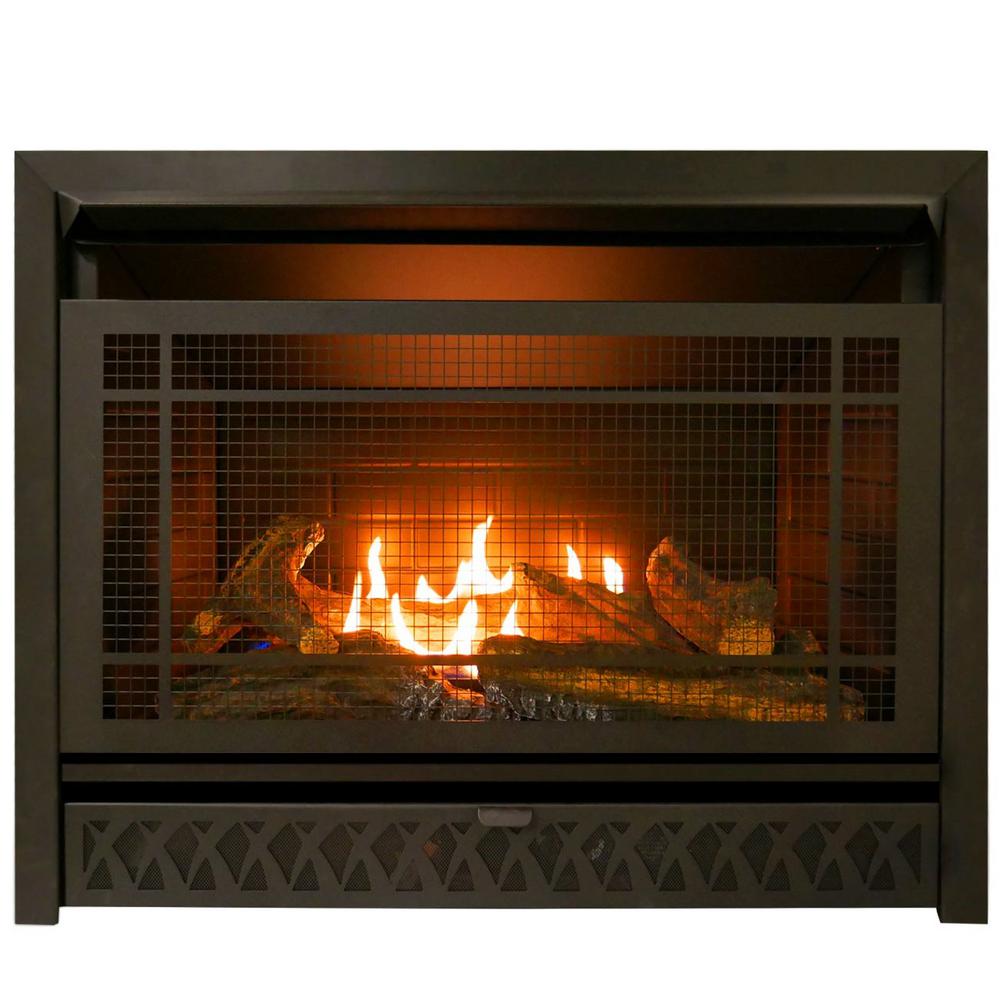 Home Depot Propane Fireplace Best Of Pro Gas Fireplace Insert Duel Fuel Technology – 26 000