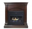 Home Depot Ventless Gas Fireplace Elegant Pinterest