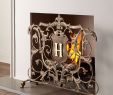 Horchow Fireplace Screen Best Of Golden Flowers and Branches Fireplace Screen