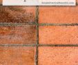 How Do You Clean Fireplace Brick Lovely Exceptional Clean Hacks are Offered On Our Internet Site