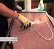 How to Clean Glass Fireplace Doors Beautiful How to Clean Fireplace Glass Video