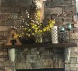 How to Install A Mantel On A Brick Fireplace Awesome Summer Mantel Around the Deer Mount that Works Great In Fall