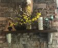How to Install A Mantel On A Brick Fireplace Awesome Summer Mantel Around the Deer Mount that Works Great In Fall