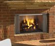 How to Install Gas Fireplace In Existing Chimney Lovely Villawood Wood Fireplace