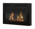 Ignis Fireplace Lovely Freestanding Cheapish Fireplace Indoor Outdoor Need