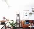 Indoor Gel Fireplace Elegant Artificial Plants for Living Room Unique Beautiful Fake