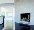 Indoor Natural Gas Fireplace Fresh Rinnai Neo Inbuilt