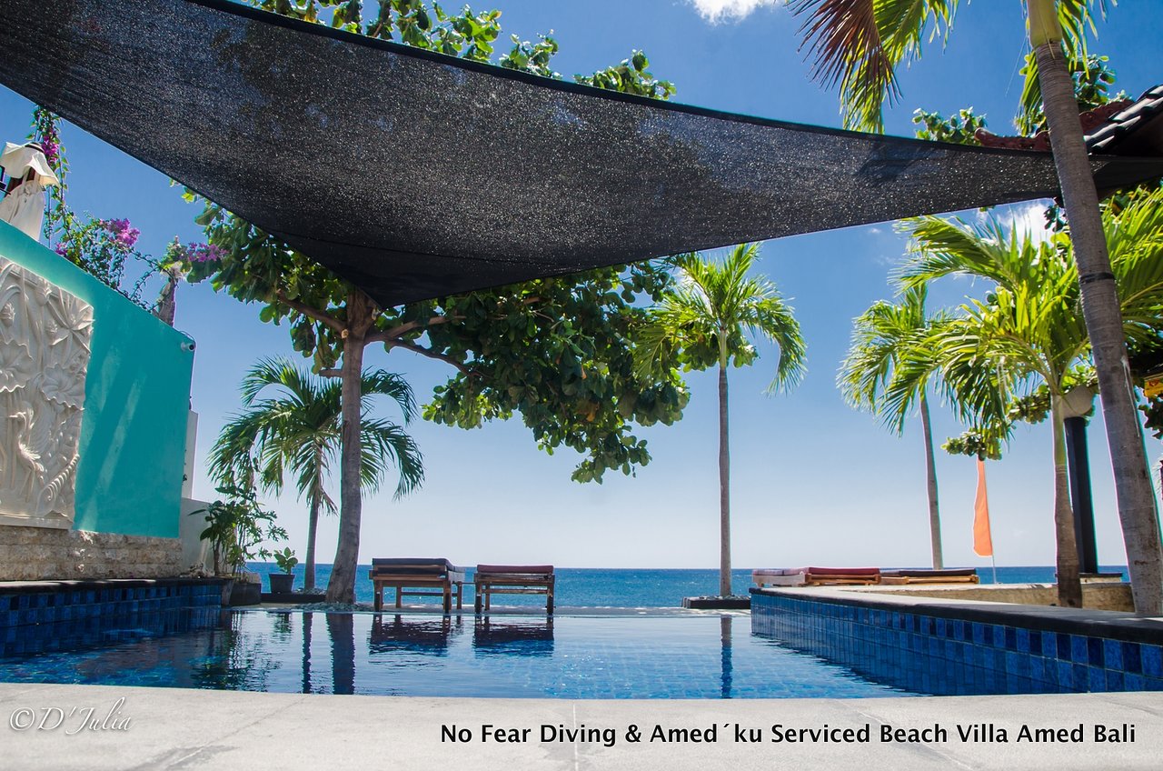 AMED KU SERVICED BEACH VILLA Bali Villa Reviews s infinity swimming pool