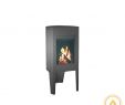 Jotul Gas Fireplace Inspirational Kaminofen Jotul F162 5kw