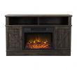 Kohls Electric Fireplace Unique Napoleon Woodland Electric Fireplace Insert