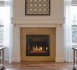 Kozy Heat Fireplace Reviews Elegant Make Kozy Heat Model Carlton 46 Type Gas Fireplace