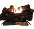 Kozy World Fireplace New Sure Heat Riverside Oak Vent Free Dual Burner Log Set for