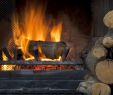 Lehrer Fireplace &amp; Patio Beautiful Best Wood to Burn In Your Colorado Fireplace Lehrers