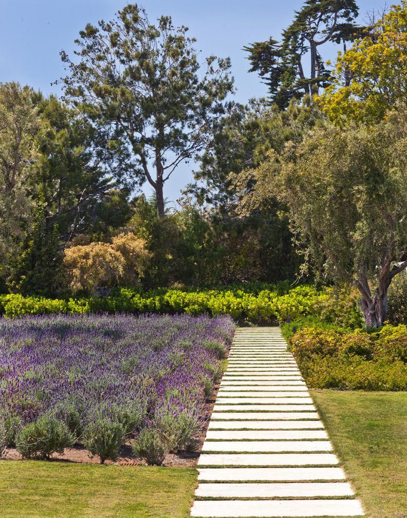 Fragrant perennials add a Proven§al inspired note to Mia 920d0d095e a fefc1