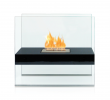 Magic Flame Electric Fireplace Inspirational Daily
